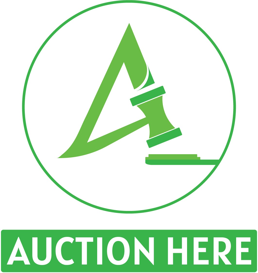 AUCTION HERE
